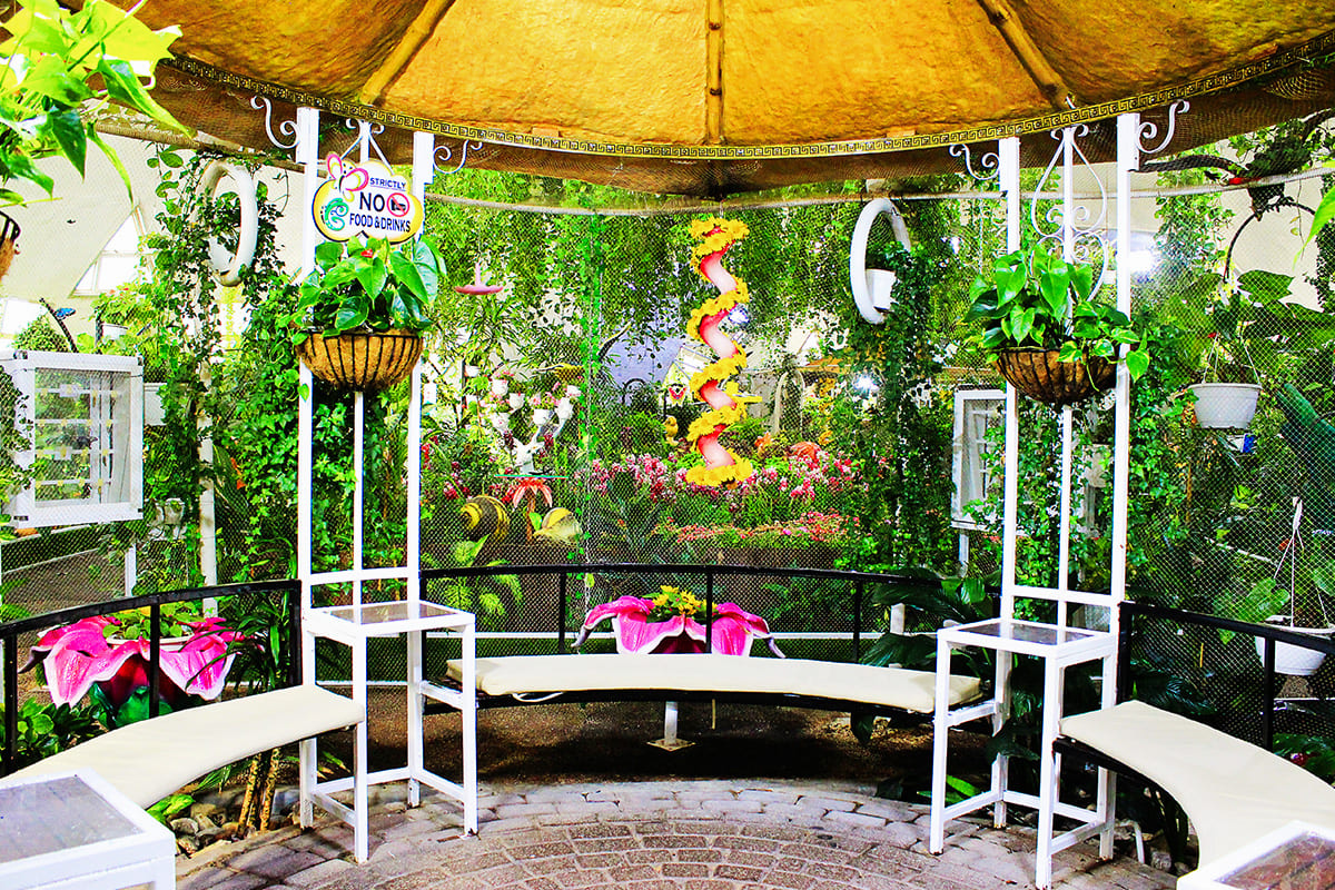 Dubai Butterfly Garden