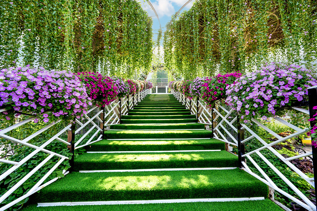 Dubai Miracle Garden